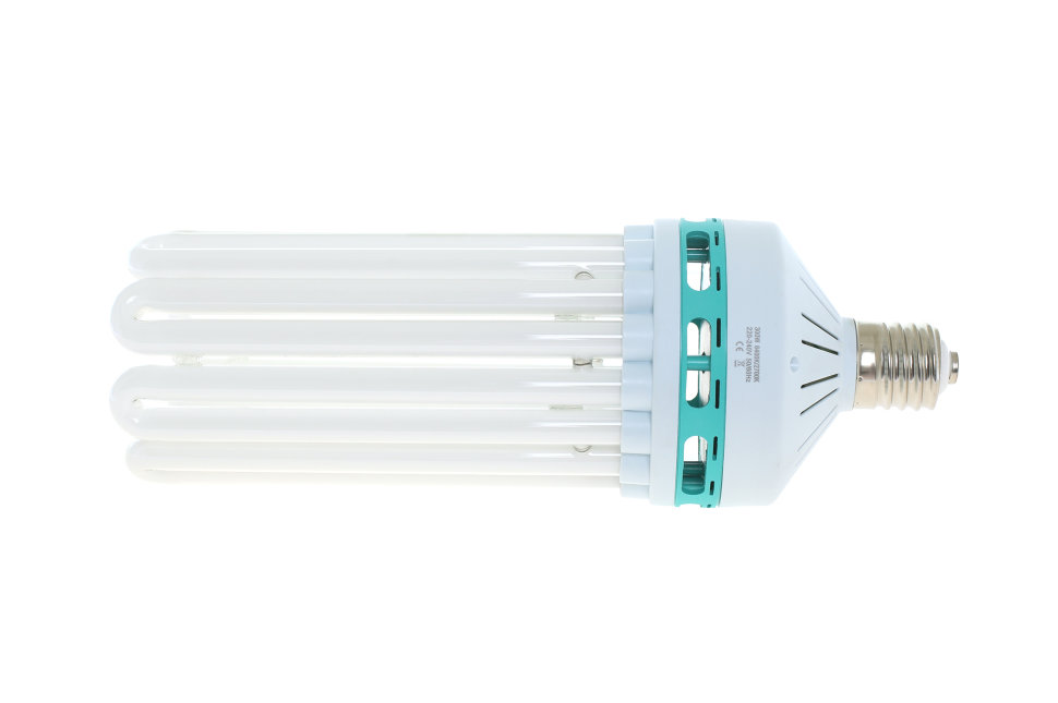 ЭСЛ лампа CFL Grow 6500 K 300 Вт фото 1 — ГроуШоп